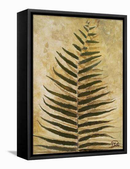 Ferns III-Patricia Pinto-Framed Stretched Canvas
