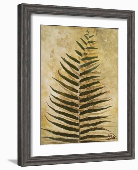 Ferns III-Patricia Pinto-Framed Premium Giclee Print