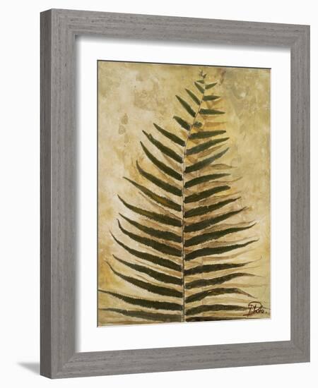 Ferns III-Patricia Pinto-Framed Premium Giclee Print