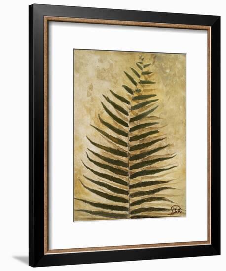 Ferns III-Patricia Pinto-Framed Premium Giclee Print