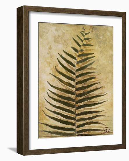 Ferns III-Patricia Pinto-Framed Premium Giclee Print