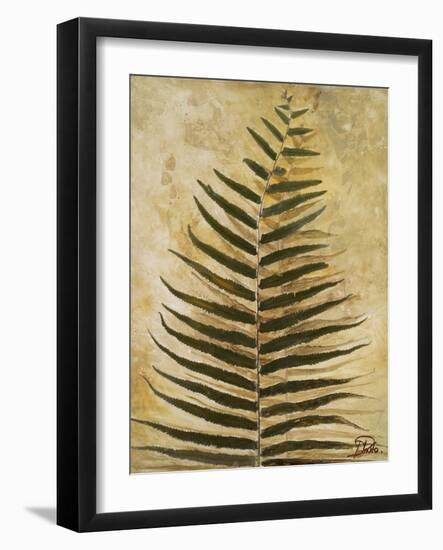 Ferns III-Patricia Pinto-Framed Premium Giclee Print