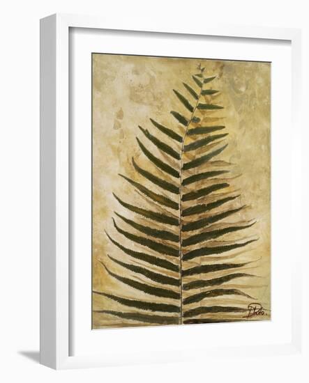 Ferns III-Patricia Pinto-Framed Premium Giclee Print