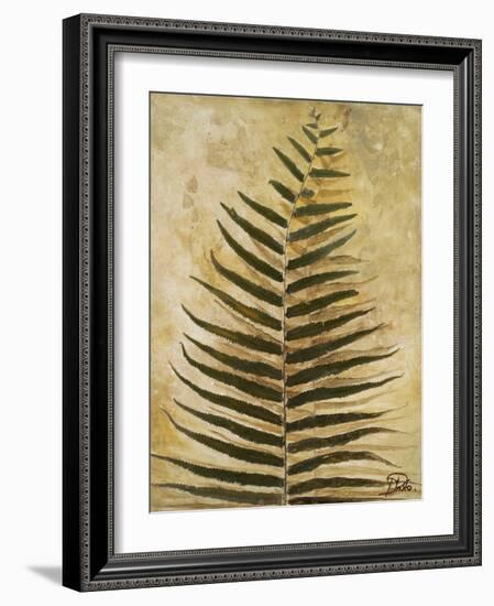 Ferns III-Patricia Pinto-Framed Premium Giclee Print