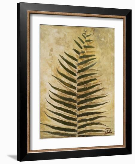 Ferns III-Patricia Pinto-Framed Art Print