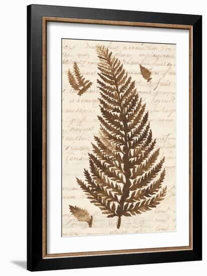 Ferns & Ledgers II-Naomi McCavitt-Framed Art Print