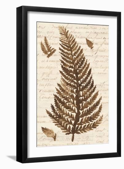 Ferns & Ledgers II-Naomi McCavitt-Framed Art Print