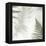 Ferns No. 2-Alan Blaustein-Framed Stretched Canvas