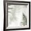 Ferns No. 2-Alan Blaustein-Framed Photographic Print