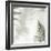 Ferns No. 2-Alan Blaustein-Framed Photographic Print