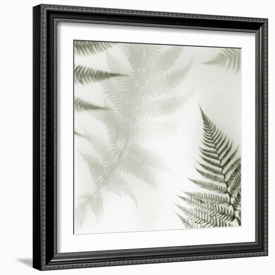 Ferns No. 2-Alan Blaustein-Framed Photographic Print