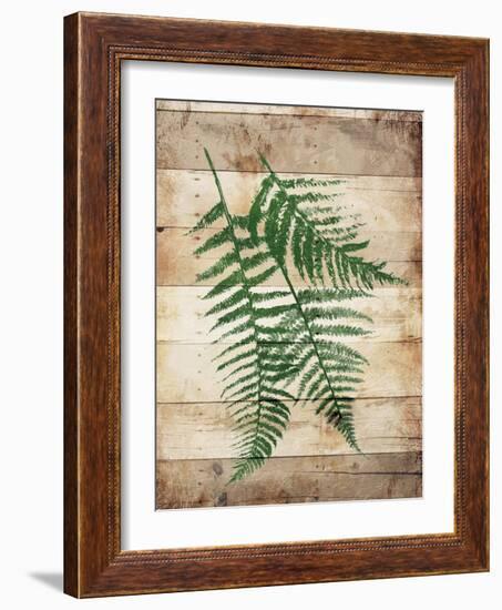 Ferns On Wood Mate-Jace Grey-Framed Art Print