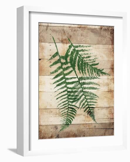 Ferns On Wood Mate-Jace Grey-Framed Art Print