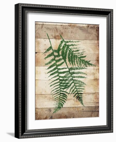 Ferns On Wood Mate-Jace Grey-Framed Art Print