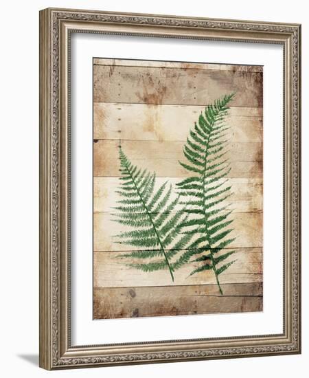 Ferns On Wood-Jace Grey-Framed Art Print