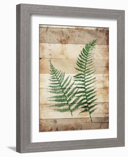 Ferns On Wood-Jace Grey-Framed Art Print