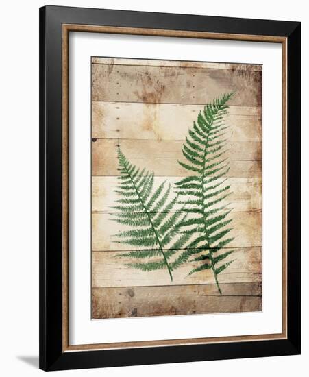 Ferns On Wood-Jace Grey-Framed Art Print