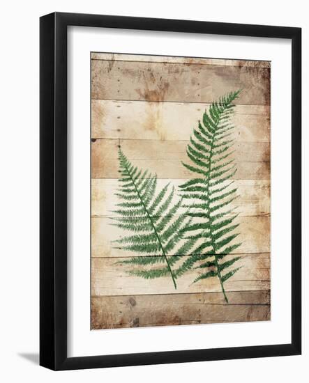 Ferns On Wood-Jace Grey-Framed Art Print