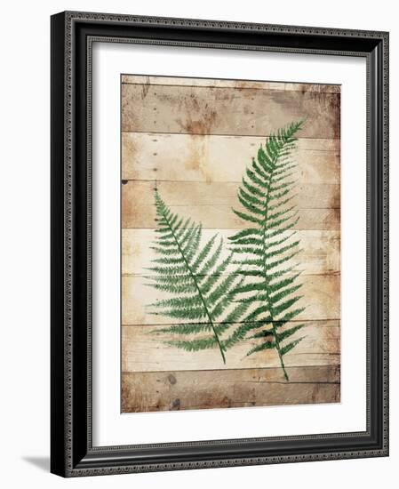 Ferns On Wood-Jace Grey-Framed Art Print