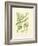 Ferns with Platemark I-null-Framed Premium Giclee Print