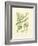 Ferns with Platemark I-null-Framed Premium Giclee Print