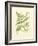 Ferns with Platemark I-null-Framed Art Print