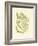 Ferns with Platemark III-null-Framed Art Print