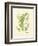 Ferns with Platemark IV-null-Framed Art Print