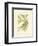 Ferns with Platemark VI-null-Framed Art Print