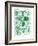 Ferns-Ernst Haeckel-Framed Art Print