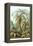 Ferns-Ernst Haeckel-Framed Stretched Canvas
