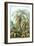 Ferns-Ernst Haeckel-Framed Art Print