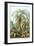 Ferns-Ernst Haeckel-Framed Art Print