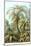 Ferns-Ernst Haeckel-Mounted Art Print