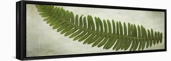 Ferns-Viviane Fedieu Daniel-Framed Premier Image Canvas