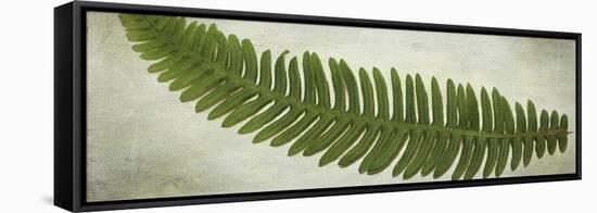 Ferns-Viviane Fedieu Daniel-Framed Premier Image Canvas