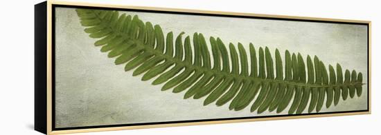 Ferns-Viviane Fedieu Daniel-Framed Premier Image Canvas