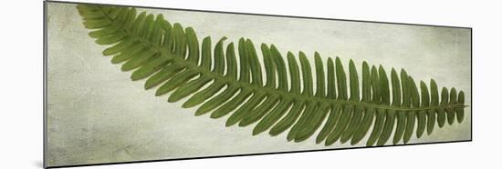 Ferns-Viviane Fedieu Daniel-Mounted Giclee Print