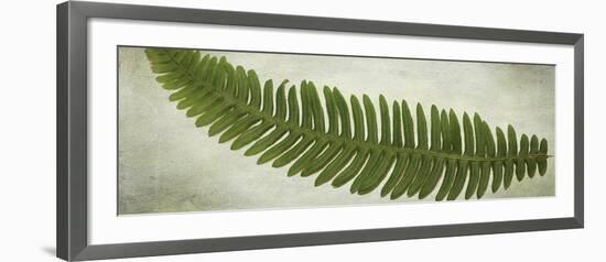 Ferns-Viviane Fedieu Daniel-Framed Giclee Print