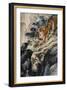 Ferocious Tiger Stalking a Mountain Path-Zhang Shanzi-Framed Giclee Print