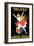 Ferrand and Renaud-Leonetto Cappiello-Framed Art Print