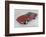 Ferrari 365 GTB 1972-Simon Clay-Framed Photographic Print