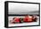 Ferrari F1 Laguna Seca Watercolor-NaxArt-Framed Stretched Canvas