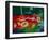 Ferrari Laguna Seca Racing-NaxArt-Framed Art Print