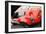 Ferrari Reear Detail Watercolor-NaxArt-Framed Art Print