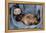 Ferret Sable Colouring Lying on Back-null-Framed Premier Image Canvas