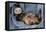 Ferret Sable Colouring Lying on Back-null-Framed Premier Image Canvas