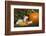 Ferret-Lynn M^ Stone-Framed Photographic Print