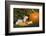 Ferret-Lynn M^ Stone-Framed Photographic Print