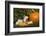 Ferret-Lynn M^ Stone-Framed Photographic Print